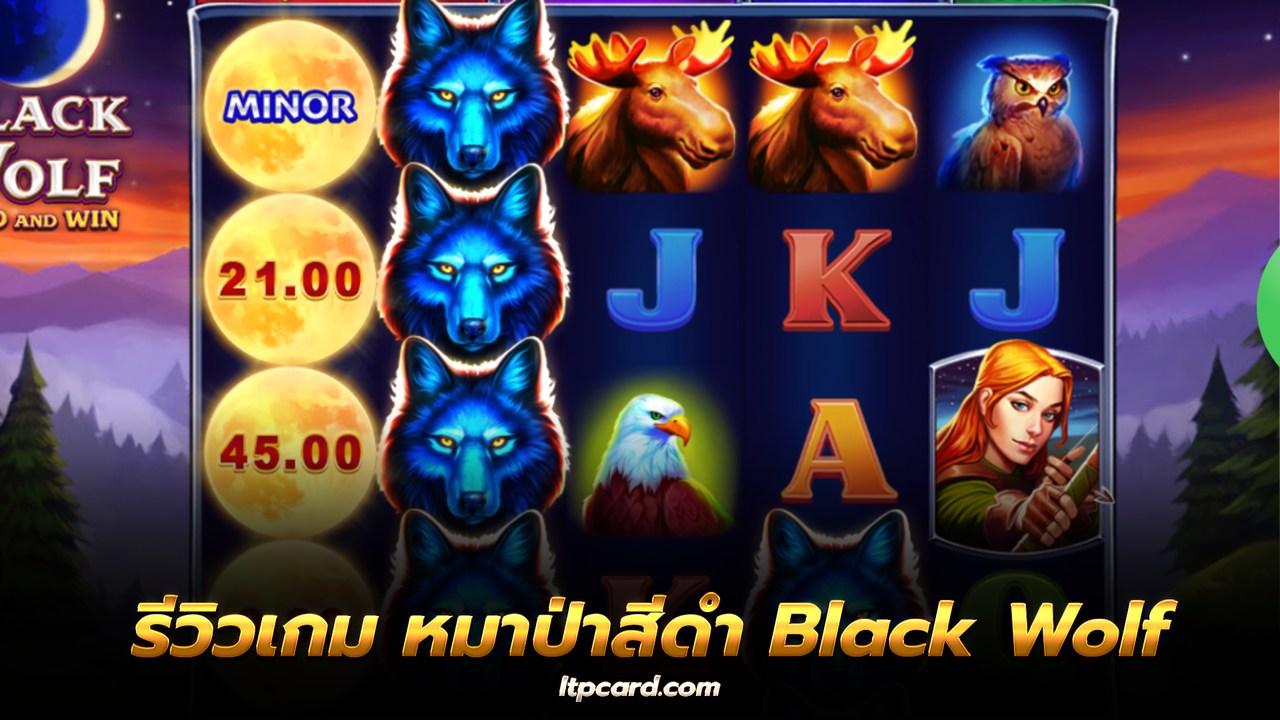 หมาป่าสีดำ รีวิวเกม Black Wolf เกมสล็อตมาใหม่จากค่าย BNG Slot